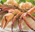 /products/cuerpos-con-boca-cocidos/